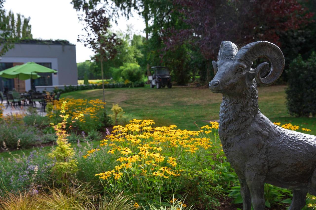 Castlemartyr Resort Hotel Zewnętrze zdjęcie The Bighorn Sheep statue at the entrance of the Bighorn Sheep Provincial Park